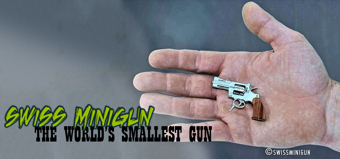 The World's Smallest Gun